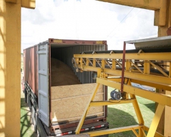 Tecon Rio Grande: operao em parceria com Terminal de Cruz Alta garante estufagem de soja